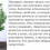 Денежное дерево лечебные свойства
